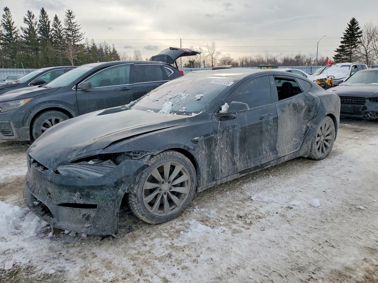 2023 Tesla Model S, VIN 5YJSA1E51PF501202 — Side
