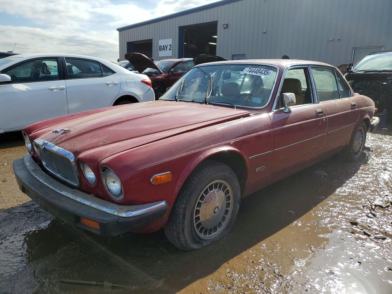1982 Jaguar XJ, VIN SAJAV1240CC344475 — Vandalism