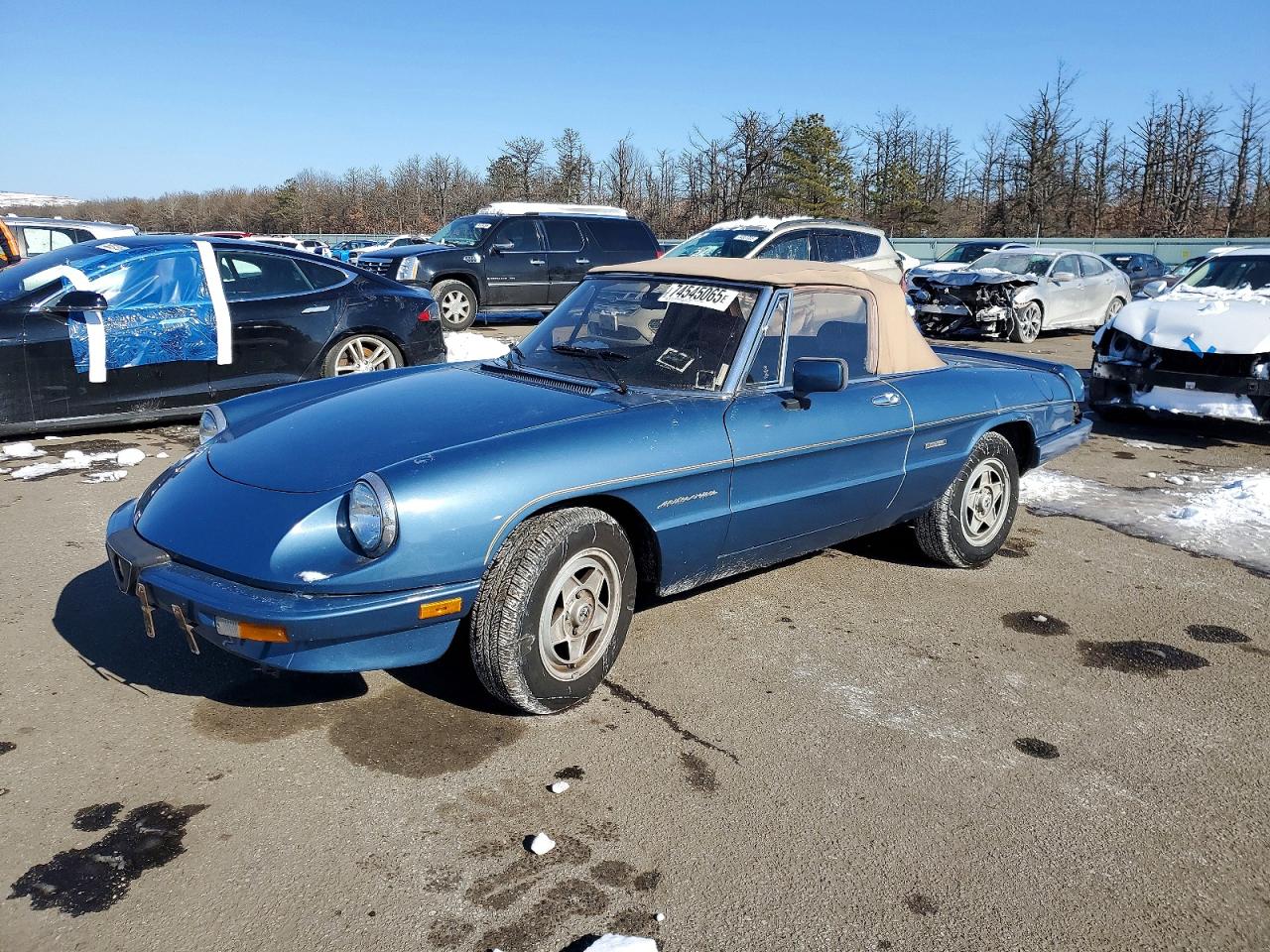 1986 Alfa Romeo Spider Veloce, VIN ZARBA5410G1037419 — Mechanical