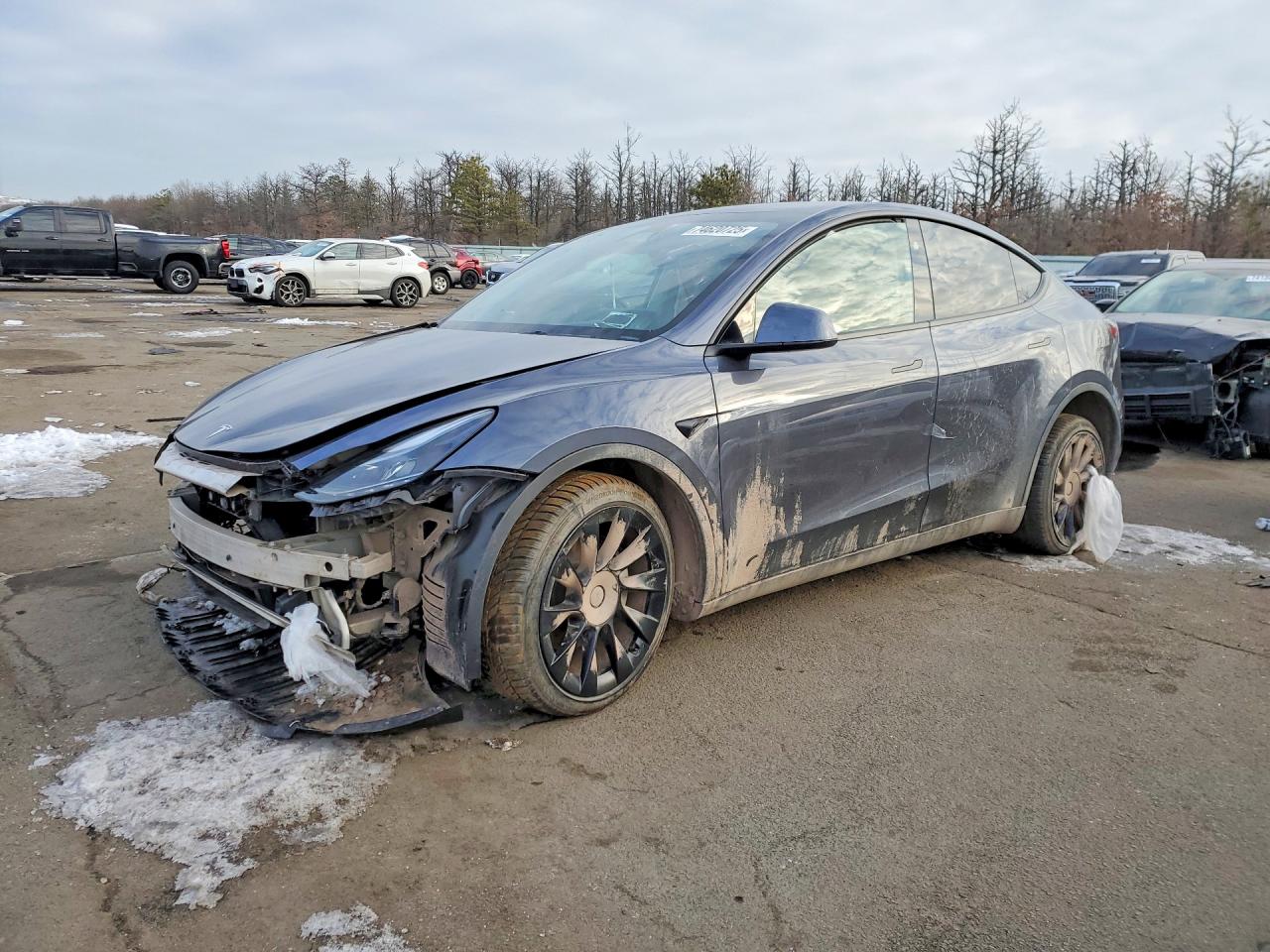 2023 Tesla Model Y Long Range, VIN 7SAYGDEE3PF850620 — Front end