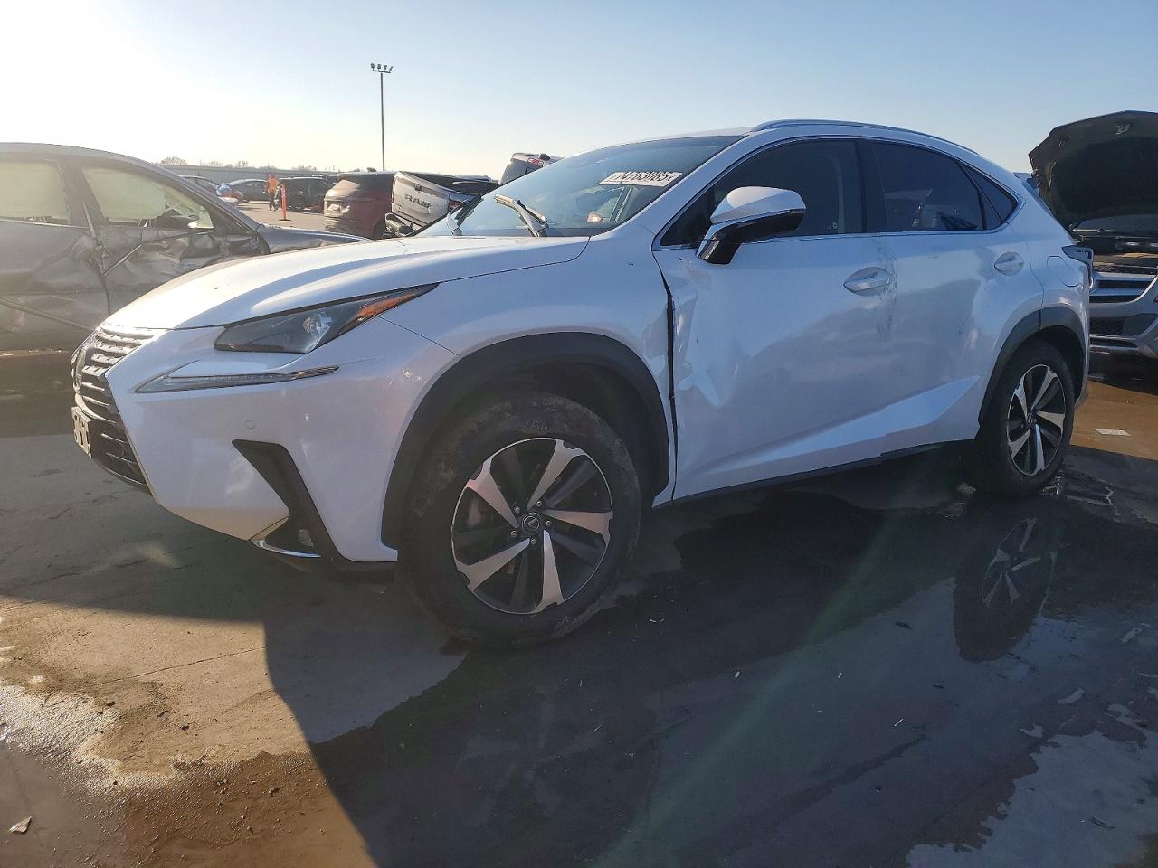 2018 Lexus NX 300h, VIN JTJBJRBZ9J2092248 — Rear end