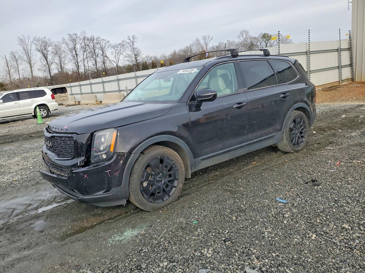 2022 Kia Telluride SX, VIN 5XYP5DHC1NG202577 — Front end