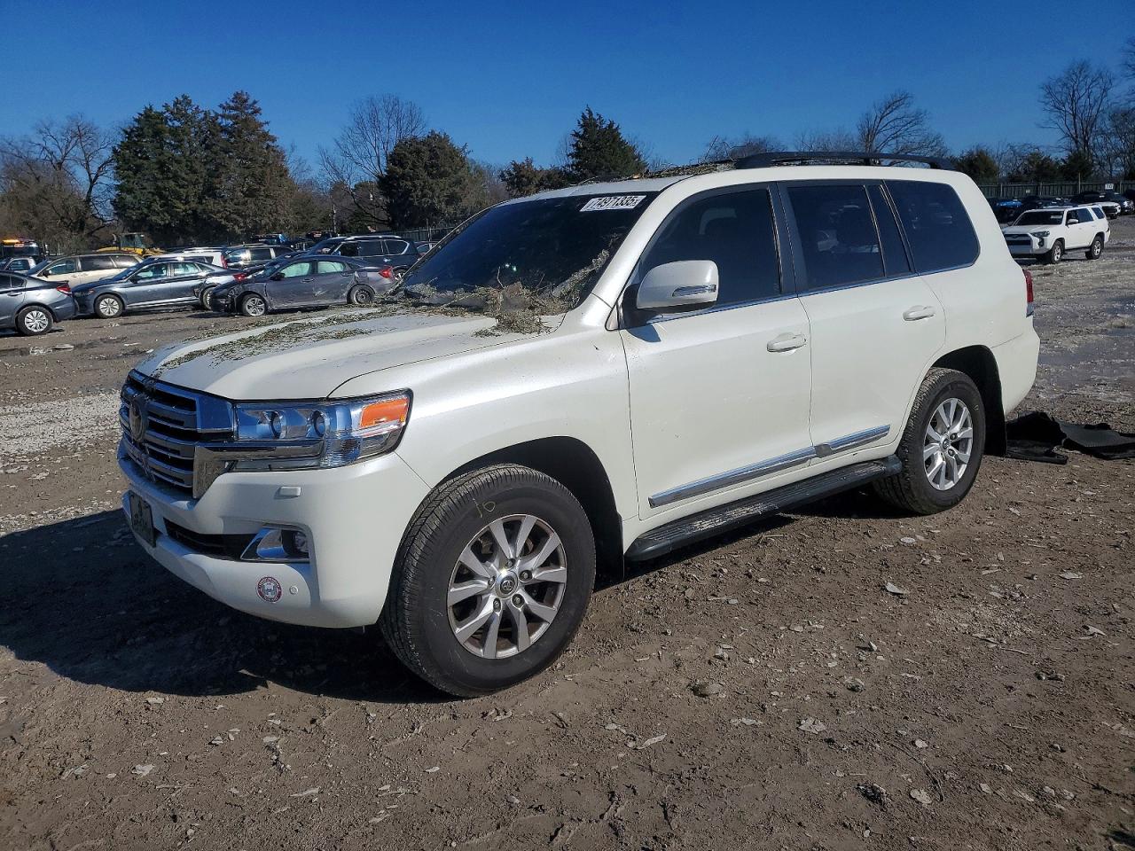 2019 Toyota Land Cruiser, VIN JTMCY7AJ0K4083026 — Rear end