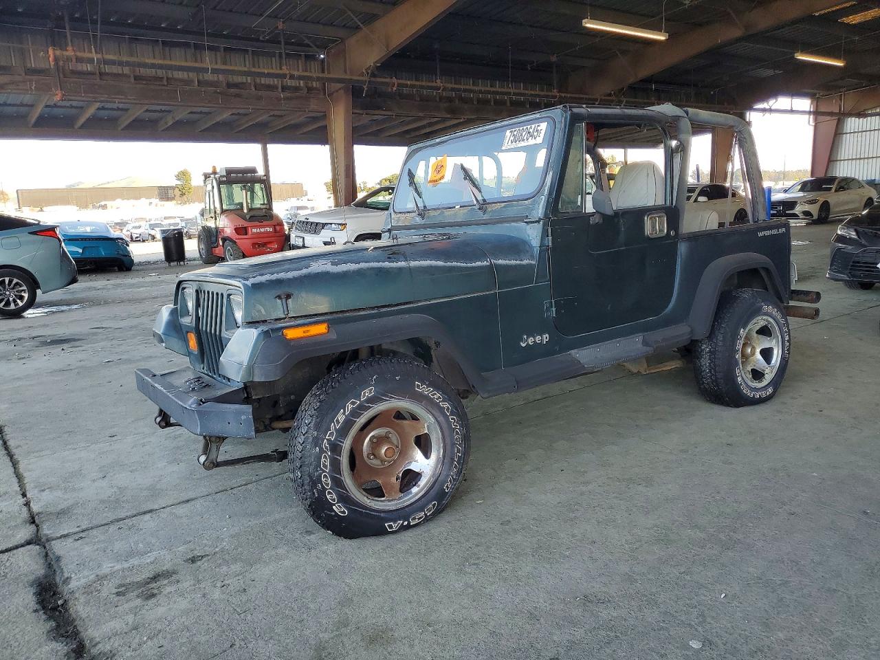 1993 Jeep Wrangler, VIN 1J4FY29SXPP269556 — Minor dents and scratches