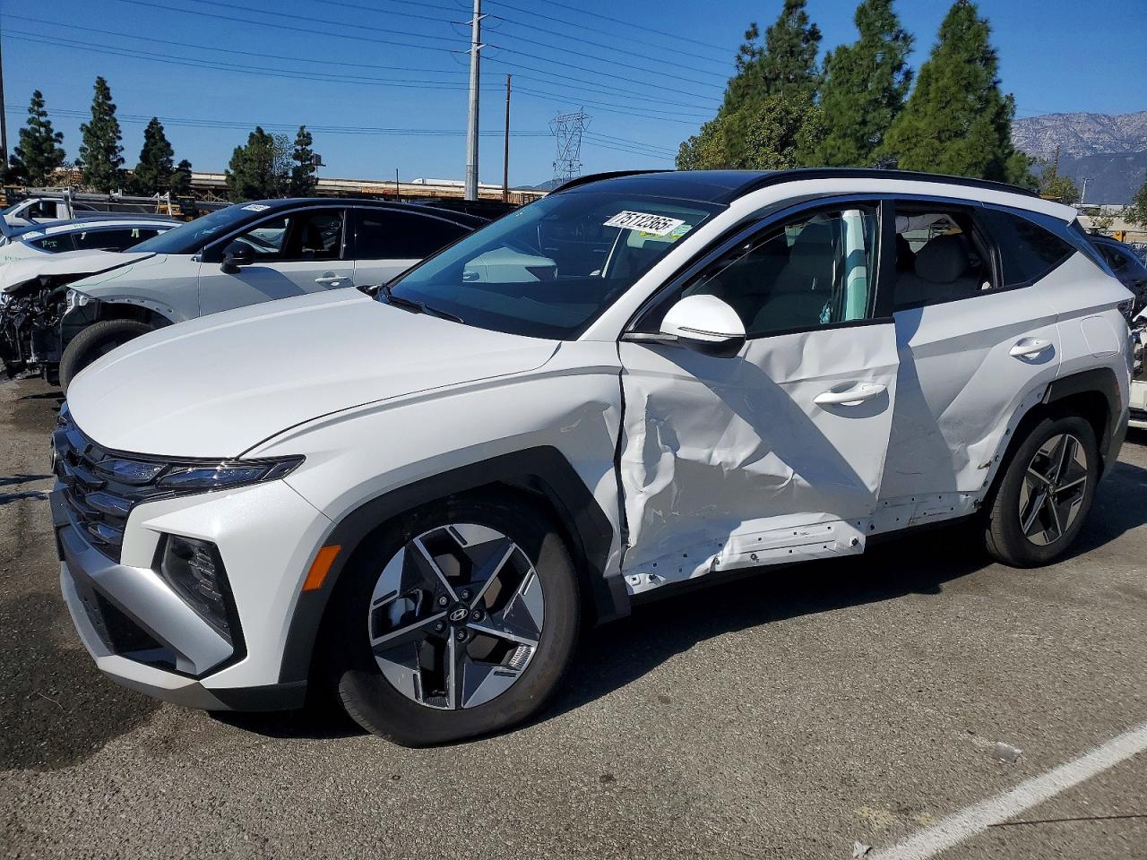 2025 Hyundai Tucson SEL Convenience, VIN KM8JCDD11SU277110 — Бок