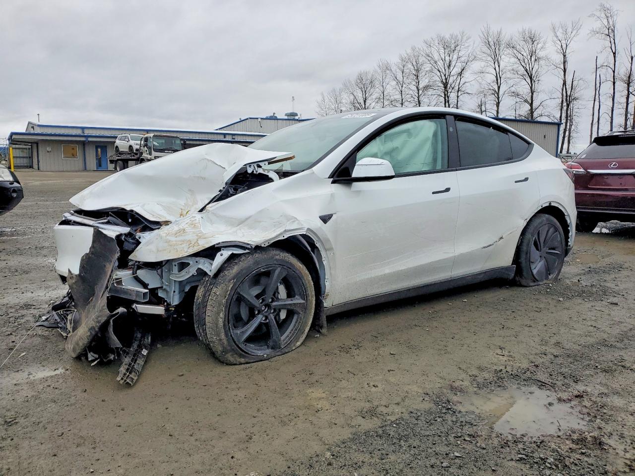 2026 Tesla Model Y Long Range Launch Series, VIN 7SAYGDEE7TF453860 — Перед