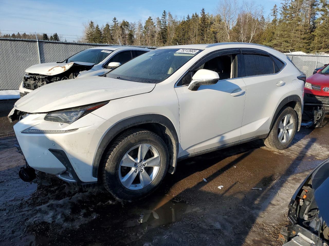 2018 Lexus NX 300 F Sport, VIN JTJBARBZXJ2172335 — Front end