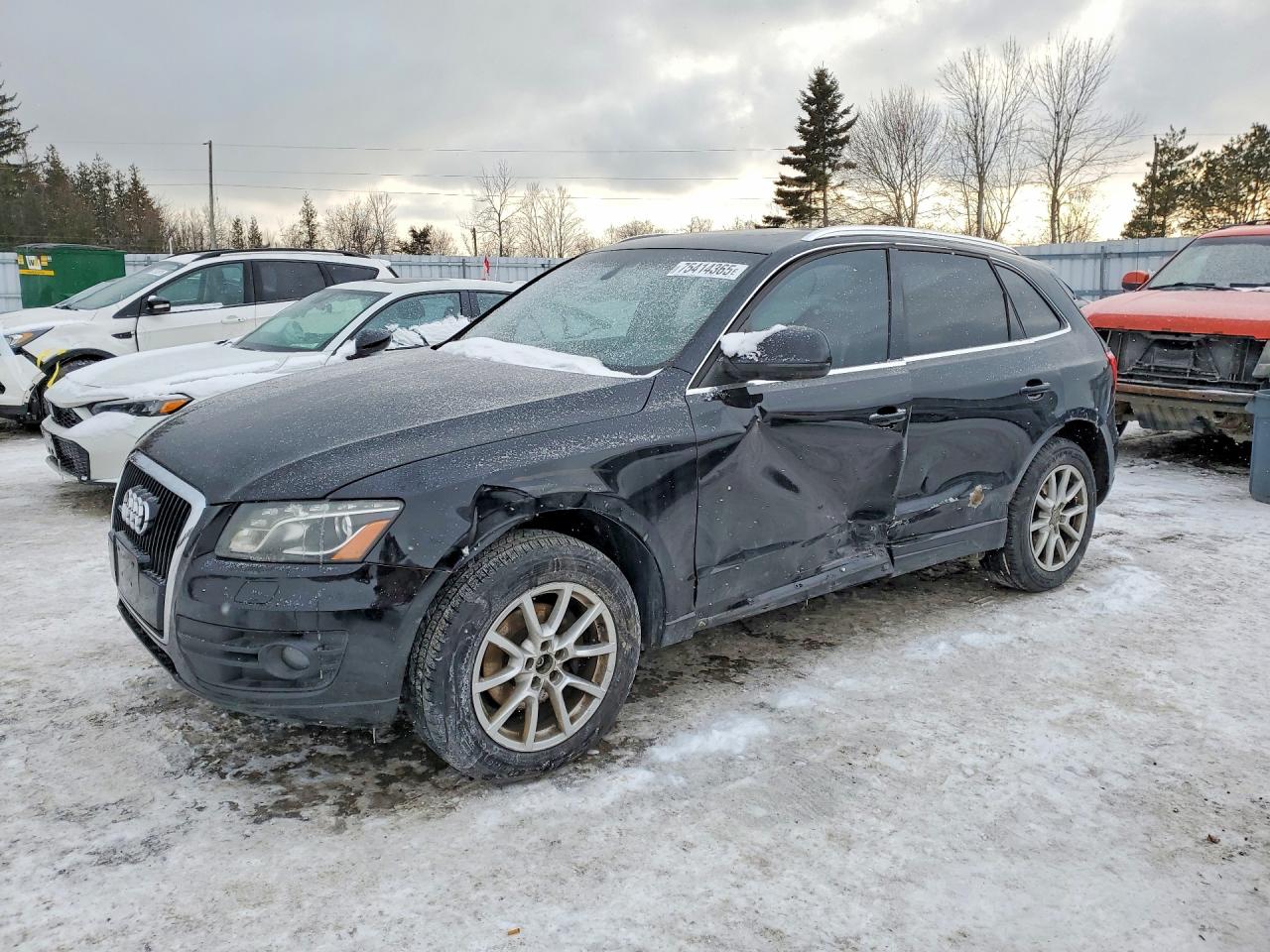 2010 Audi Q5 Premium, VIN WA1LKCFP0AA093458 — Front end