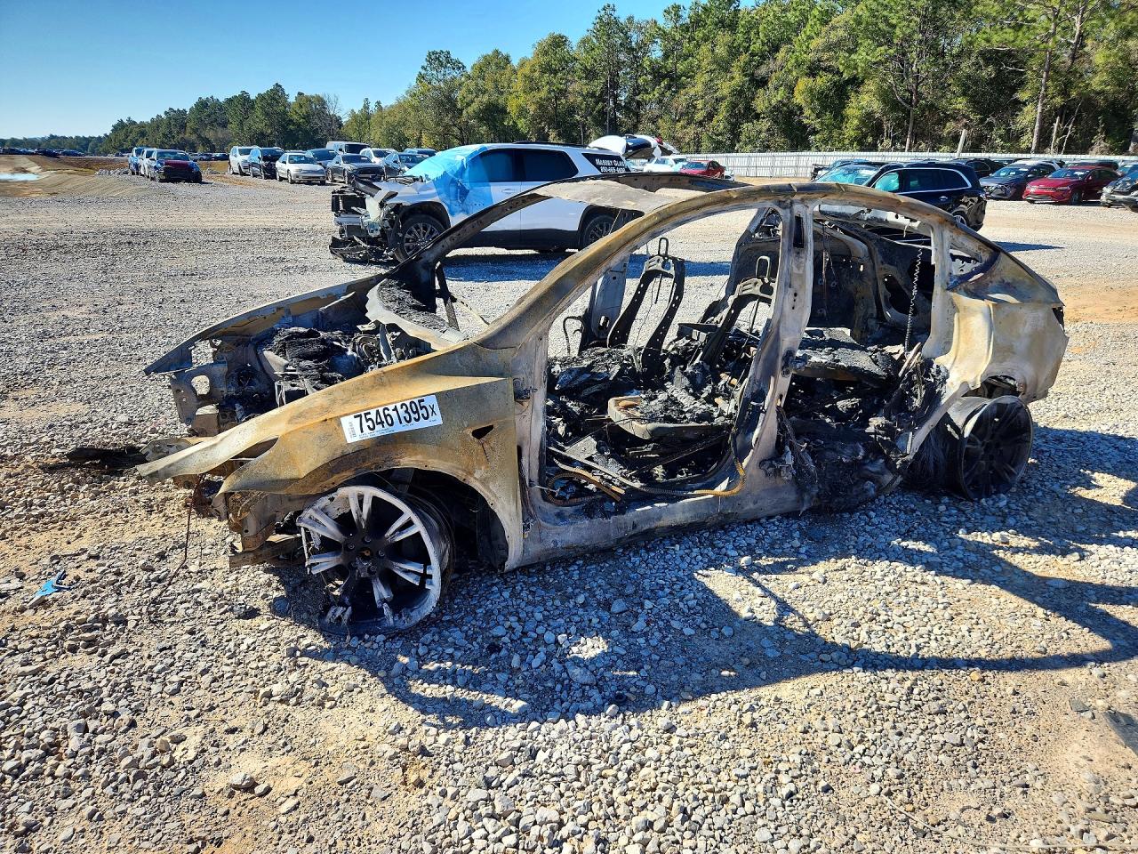 2024 Tesla Model Y Long Range, VIN 7SAYGDEE3RA254455 — Burn