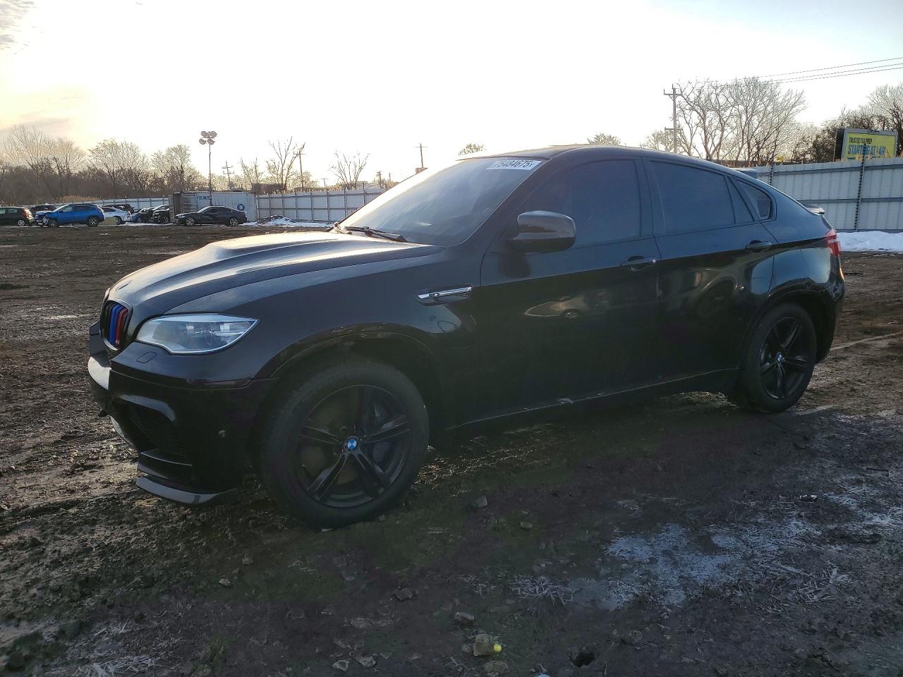 2014 BMW X6 M, VIN 5YMGZ0C54E0C40391 — Front end