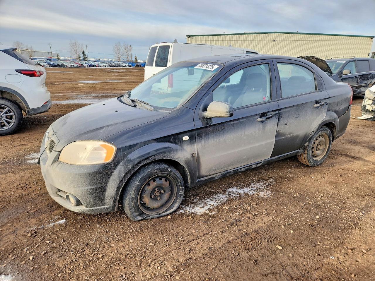 2007 Pontiac Wave, VIN KL2TW55617B189894 — Hail