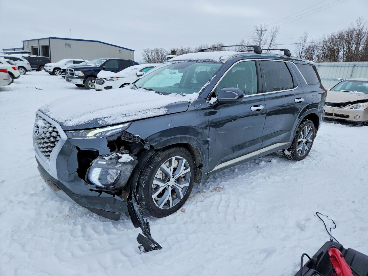 2020 Hyundai Palisade SEL, VIN KM8R4DHE5LU039646 — Side