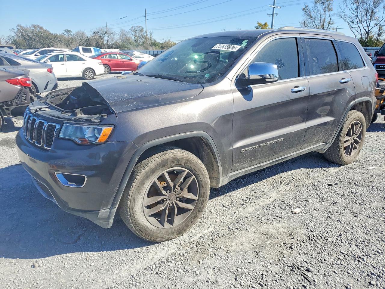 2020 Jeep Grand Cherokee Limited, VIN 1C4RJEBG6LC117922 — Burn