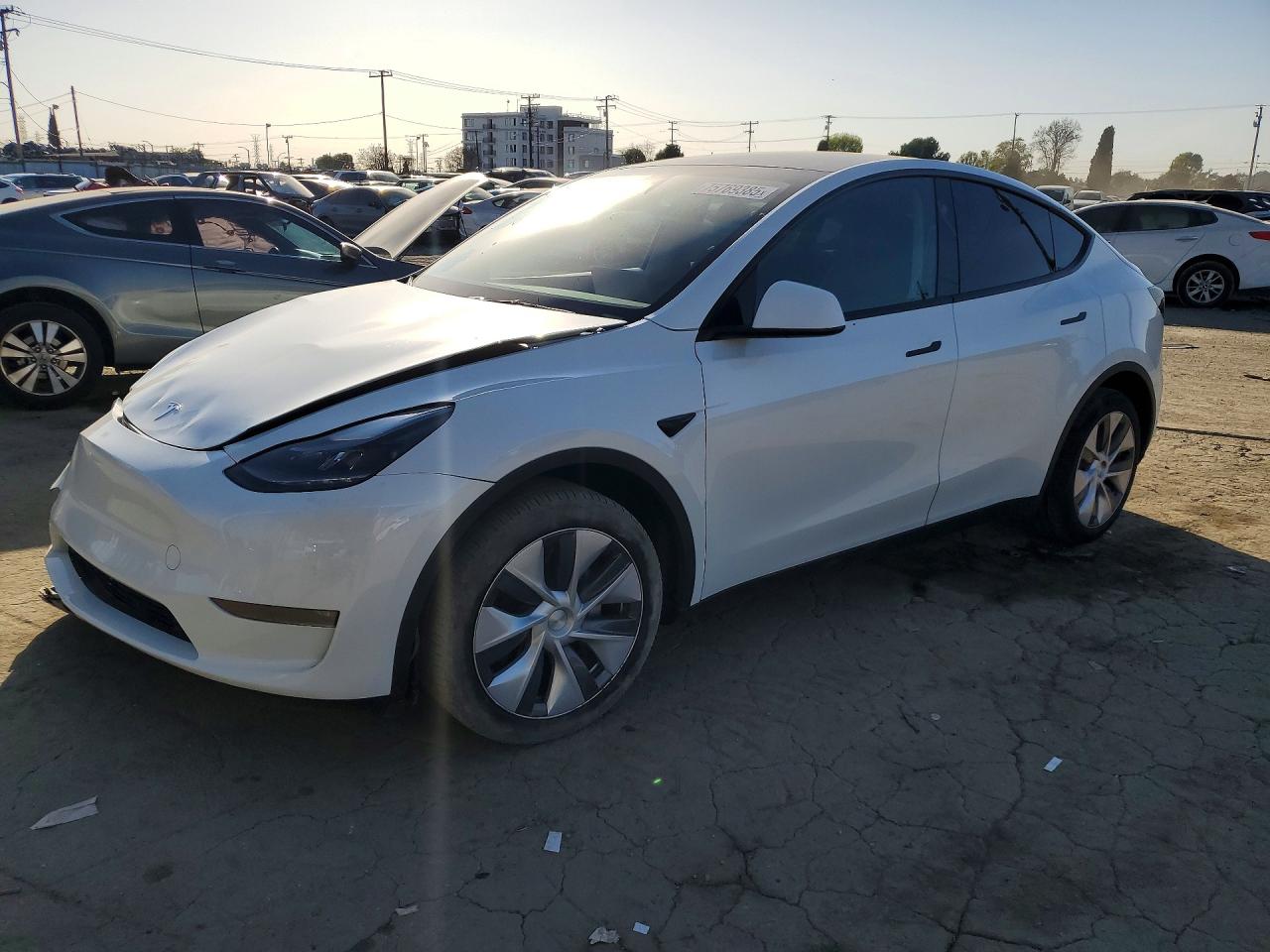 2024 Tesla Model Y Long Range, VIN 7SAYGDEE6RA228190 — Front end