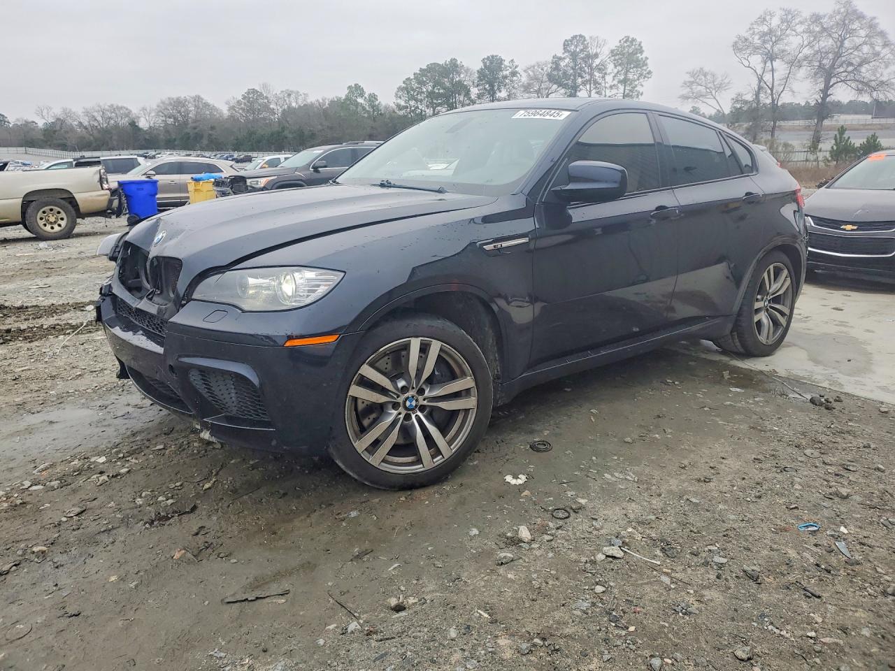 2011 BMW X6 M, VIN 5YMGZ0C5XBLK14403 — Перед