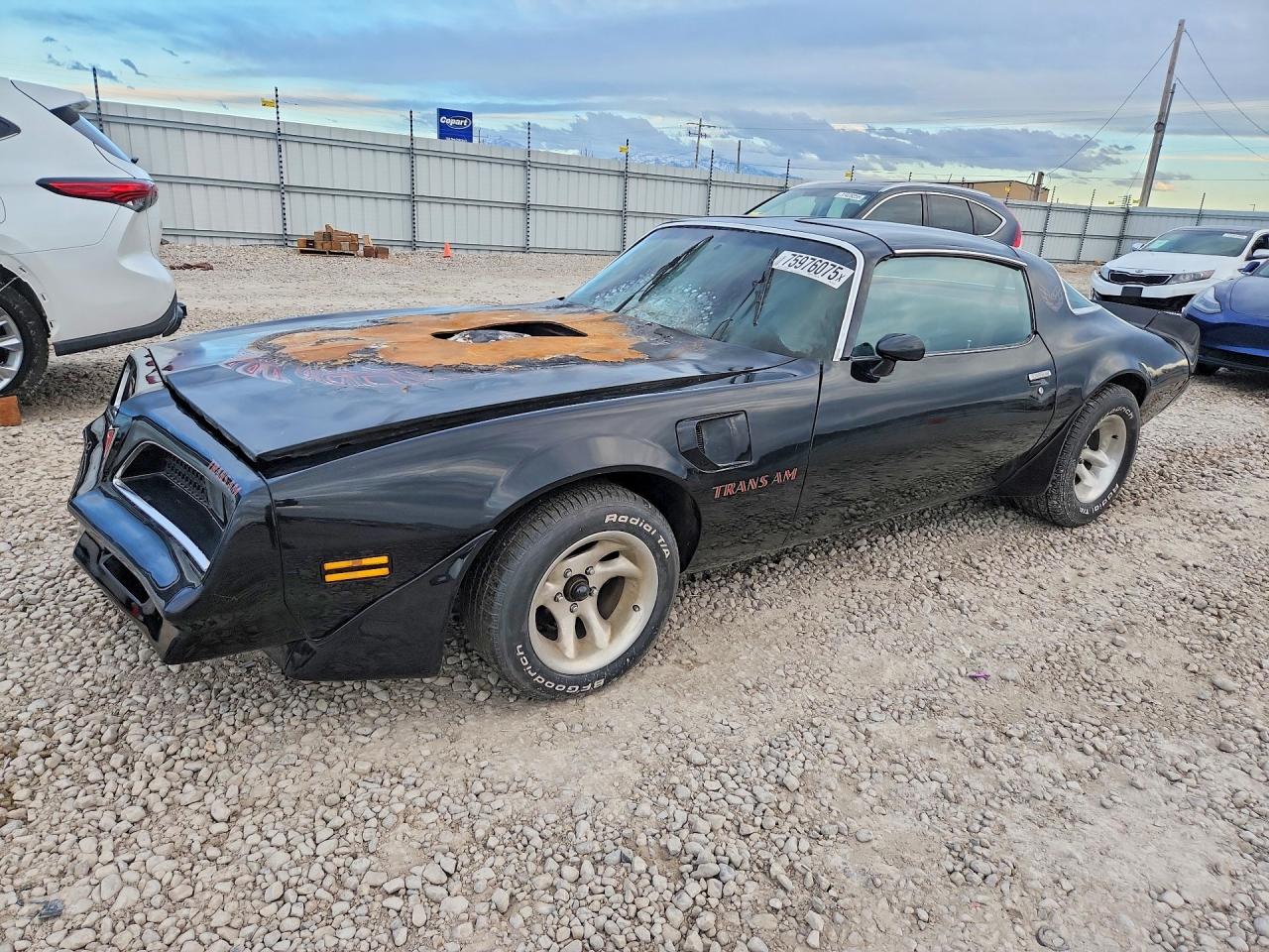 1981 Pontiac Firebird, VIN 1G2AW87W2BL118150 — Burn