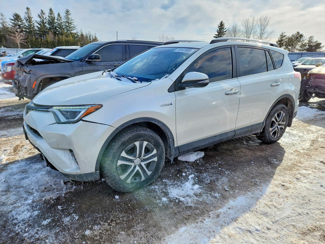 2017 Toyota RAV4 Limited, VIN JTMDJREV1HD137394 — Front end