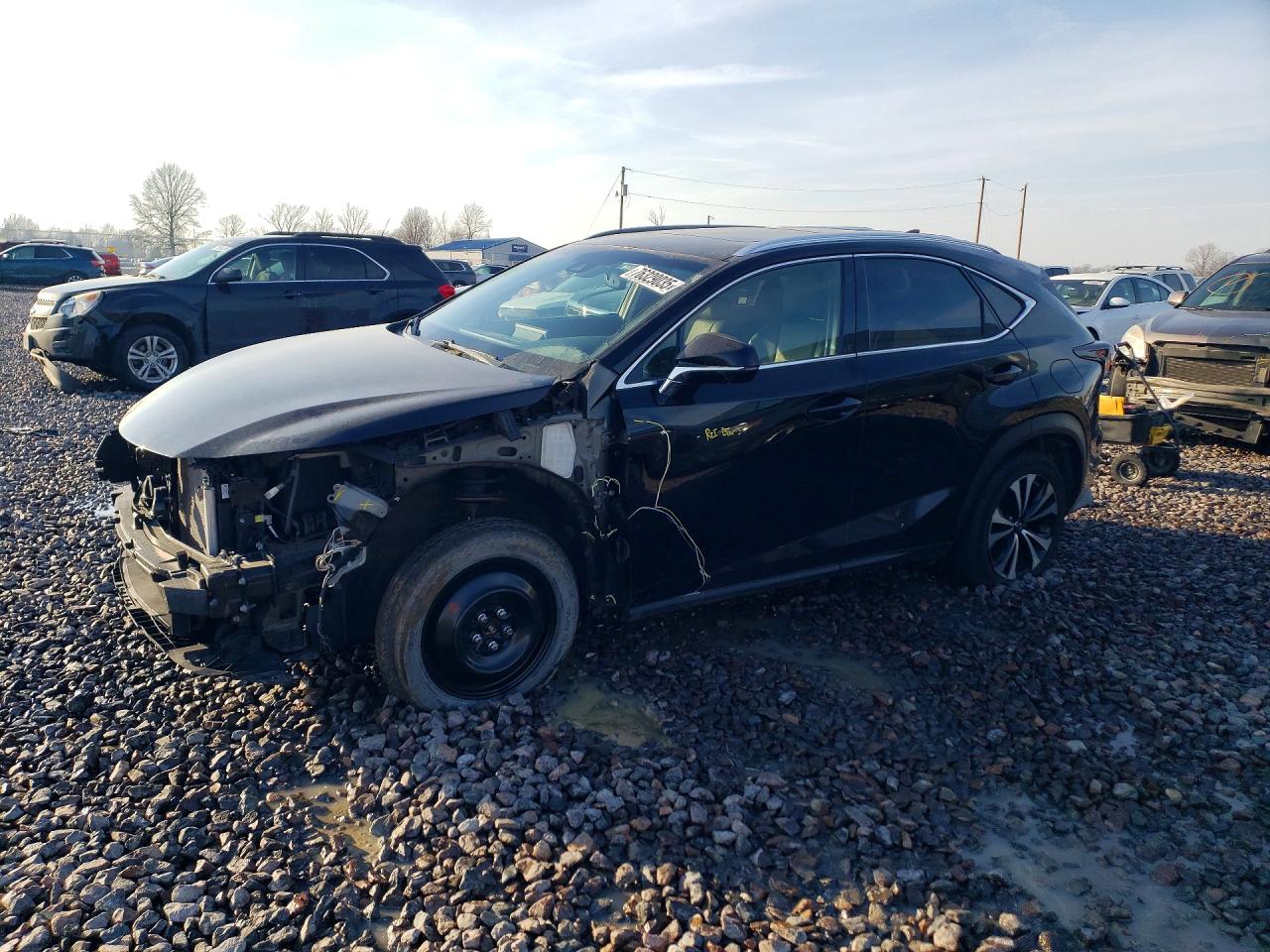 2018 Lexus NX 300 F Sport, VIN JTJBARBZ7J2176696 — Front end