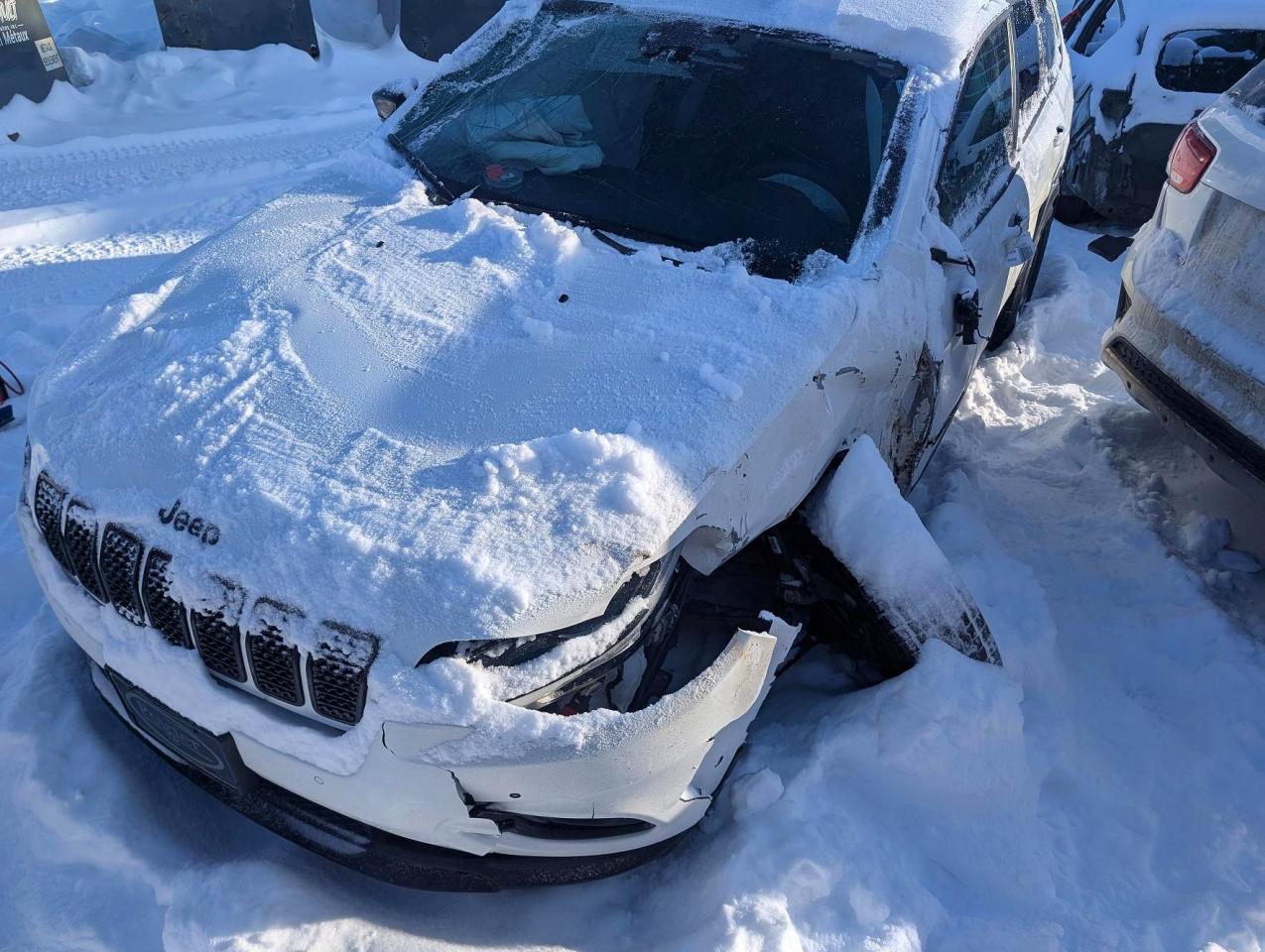2023 Jeep Cherokee Altitude Lux, VIN 1C4PJMMB2PD113627 — All over