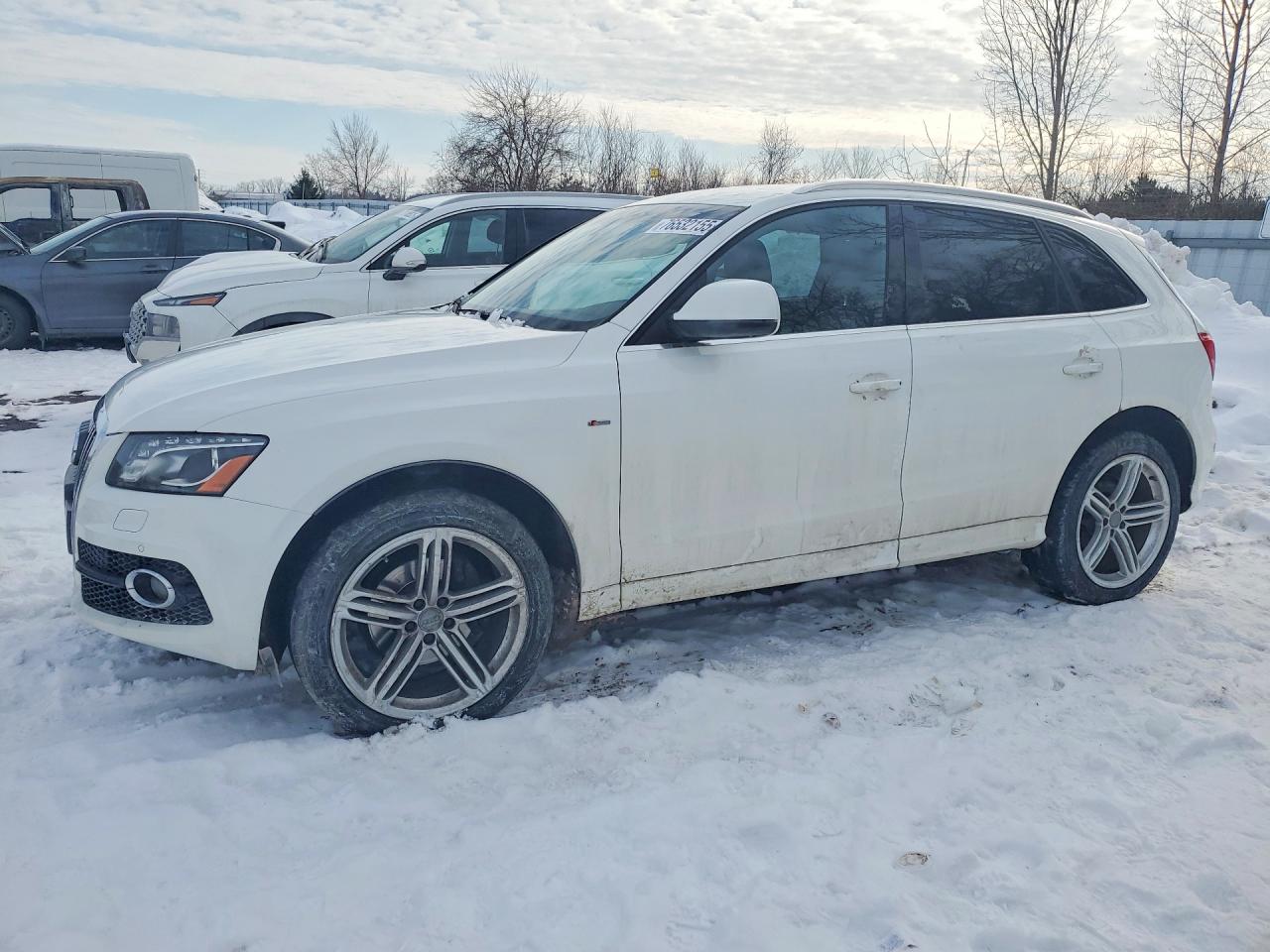 2011 Audi Q5 Premium Plus, VIN WA1WFCFPXBA111595 — Rear end