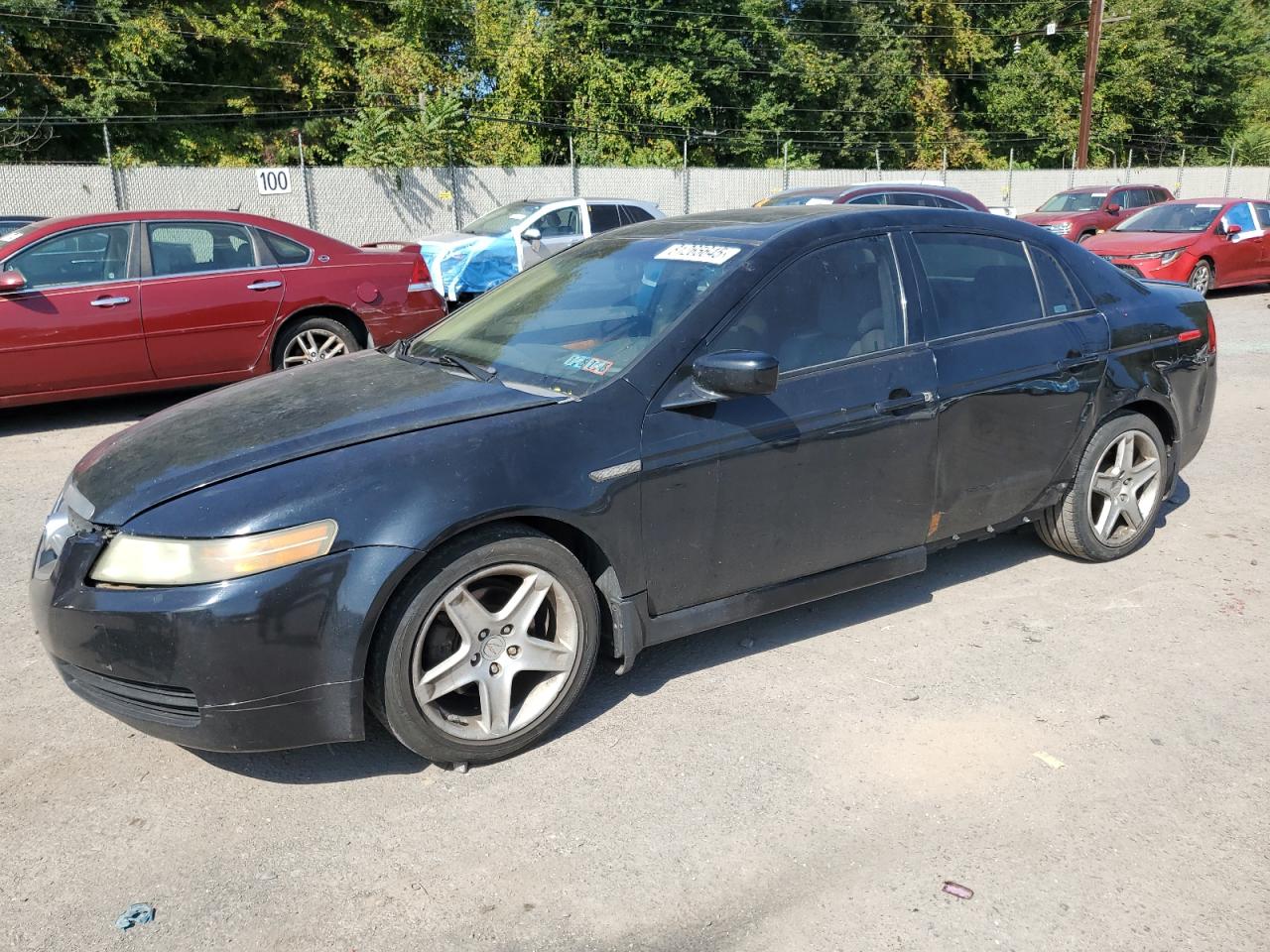 2006 Acura TL, VIN 19UUA66266A031428 — Side
