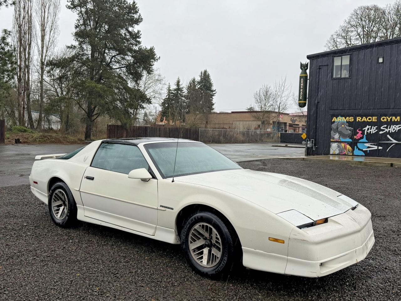 1989 Pontiac Firebird, VIN 1G2FS21S4KL233773 — Minor dents and scratches