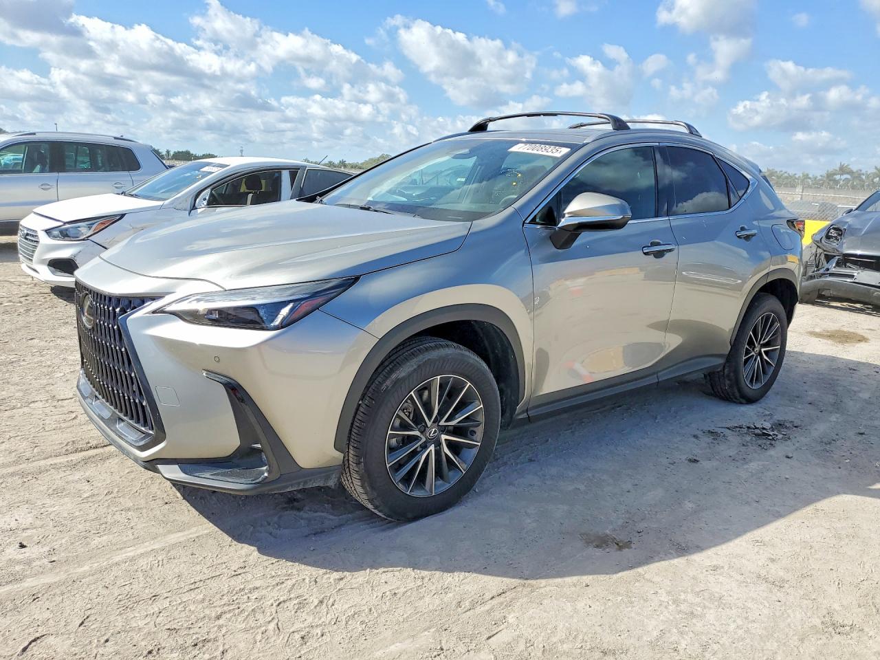 2025 Lexus NX 250 Premium, VIN 2T2GDCAZ1SC020425 — Мелкие вмятины и царапины
