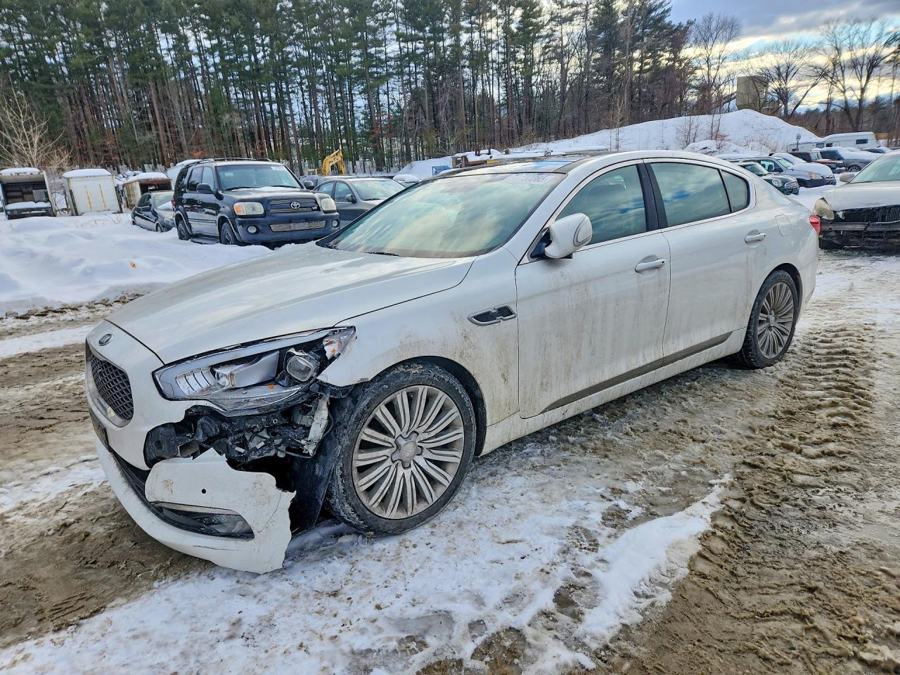 2015 Kia K900 Premium, VIN KNALU4D47F6026748 — Front end