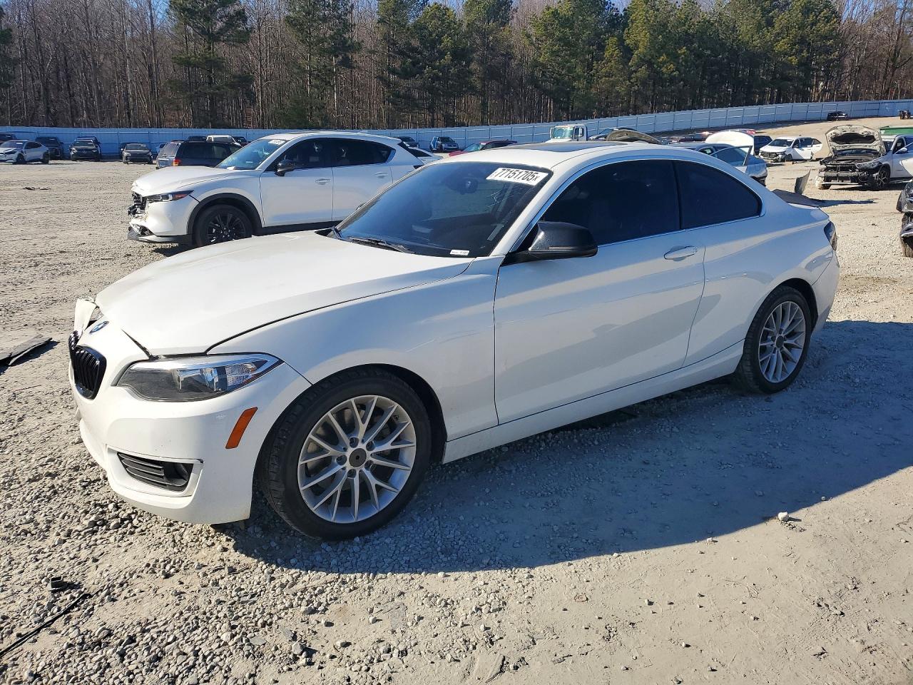2014 BMW 2 Series 228i, VIN WBA1F5C54EVW97977 — Front end