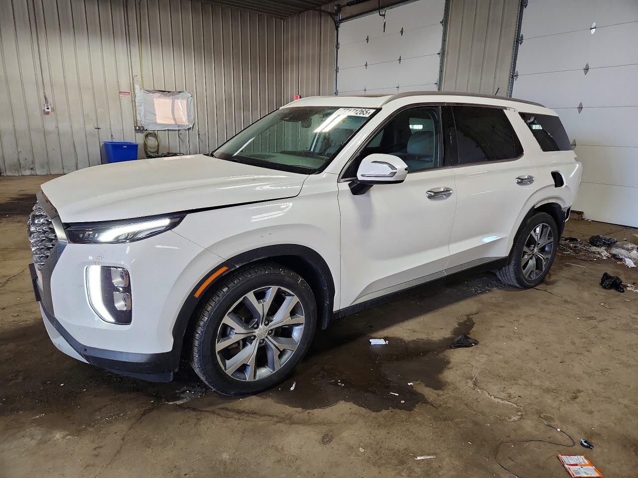 2020 Hyundai Palisade SEL, VIN KM8R3DHE4LU153446 — Rear end