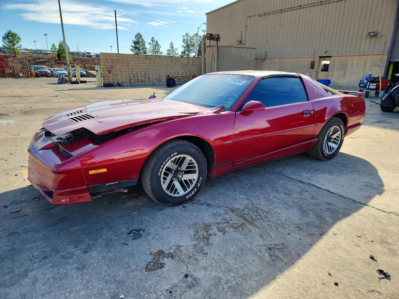 1991 Pontiac Firebird, VIN 1G2FS23E1ML210638 — Front end