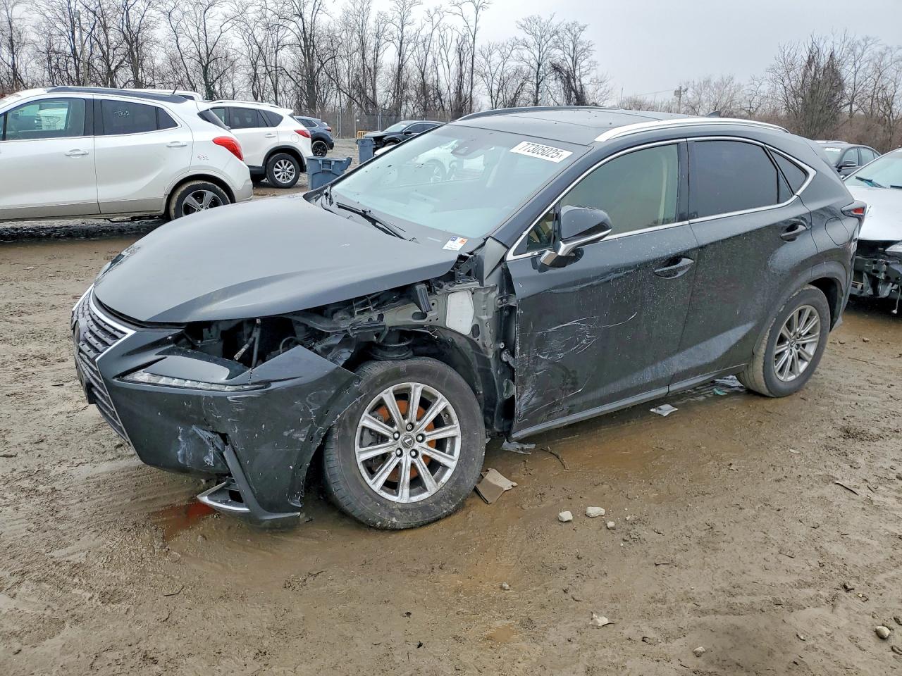 2018 Lexus NX 300 F Sport, VIN JTJBARBZ2J2177268 — Front end