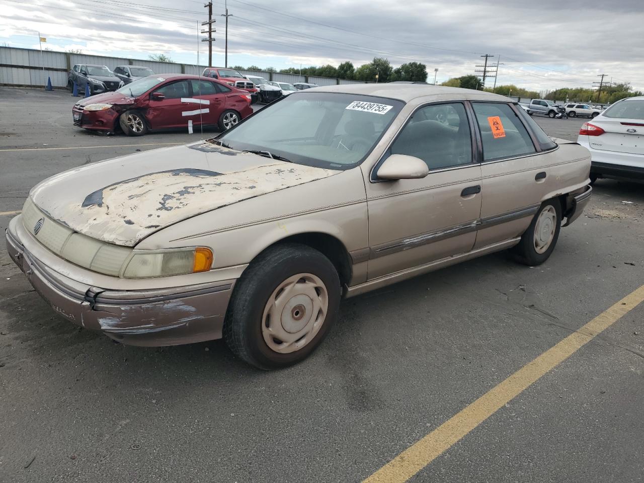 1992 Mercury Sable GS, VIN 1MELM50U5NG639165 — Rear end