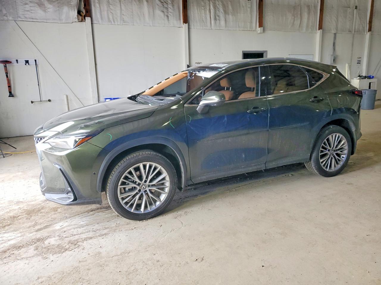 2025 Lexus NX 350h Luxury, VIN 2T2HKCEZ1SC055759 — Перед