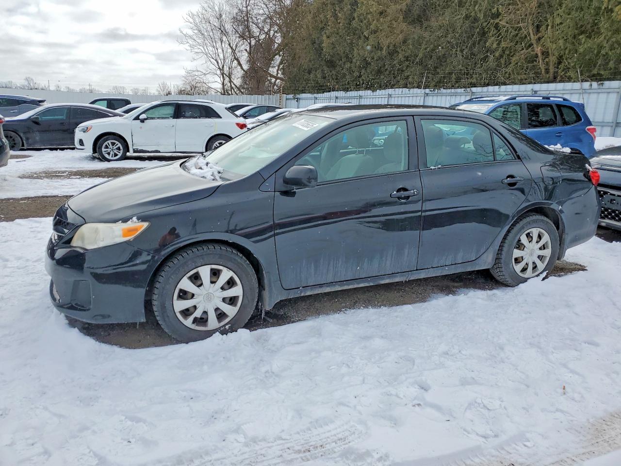 2011 Toyota Corolla S, VIN 2T1BU4EE7BC581417 — Rear end