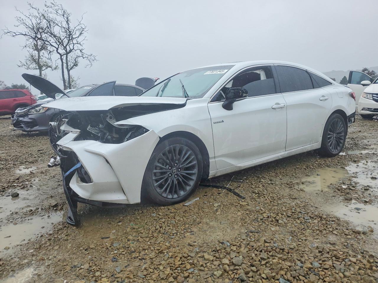 2019 Toyota Avalon Limited Hybrid, VIN 4T1B21FBXKU003416 — Front end