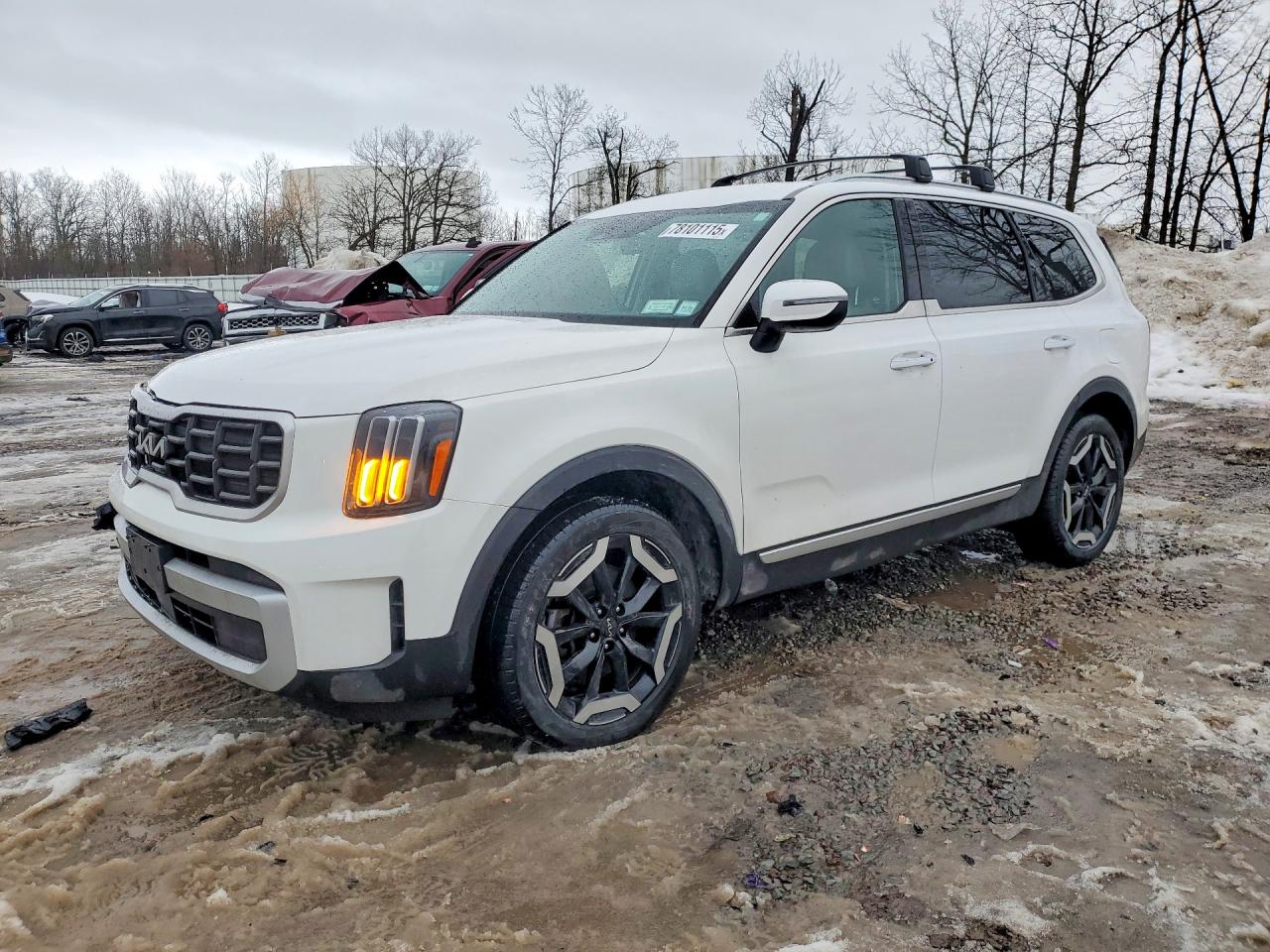 2024 Kia Telluride S, VIN 5XYP6DGC4RG502604 — Front end