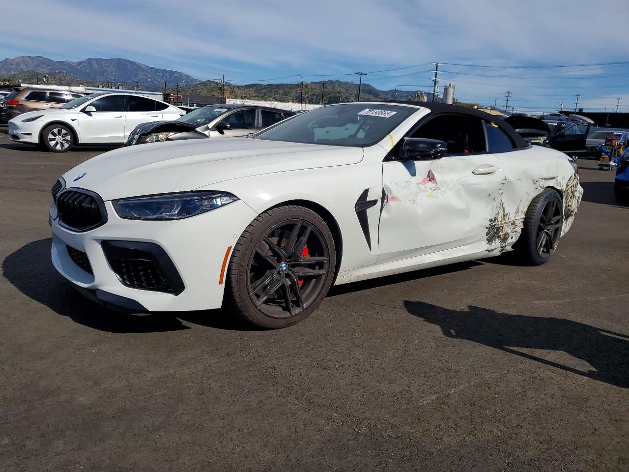 2024 BMW M8 Competition, VIN WBSDZ0C03RCN52521 — Бок