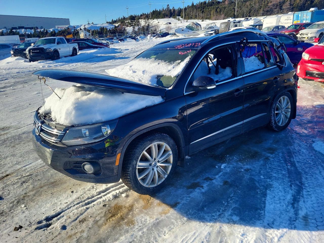 2016 Volkswagen Tiguan Comfortline, VIN WVGJV7AX8GW500565 — Burn