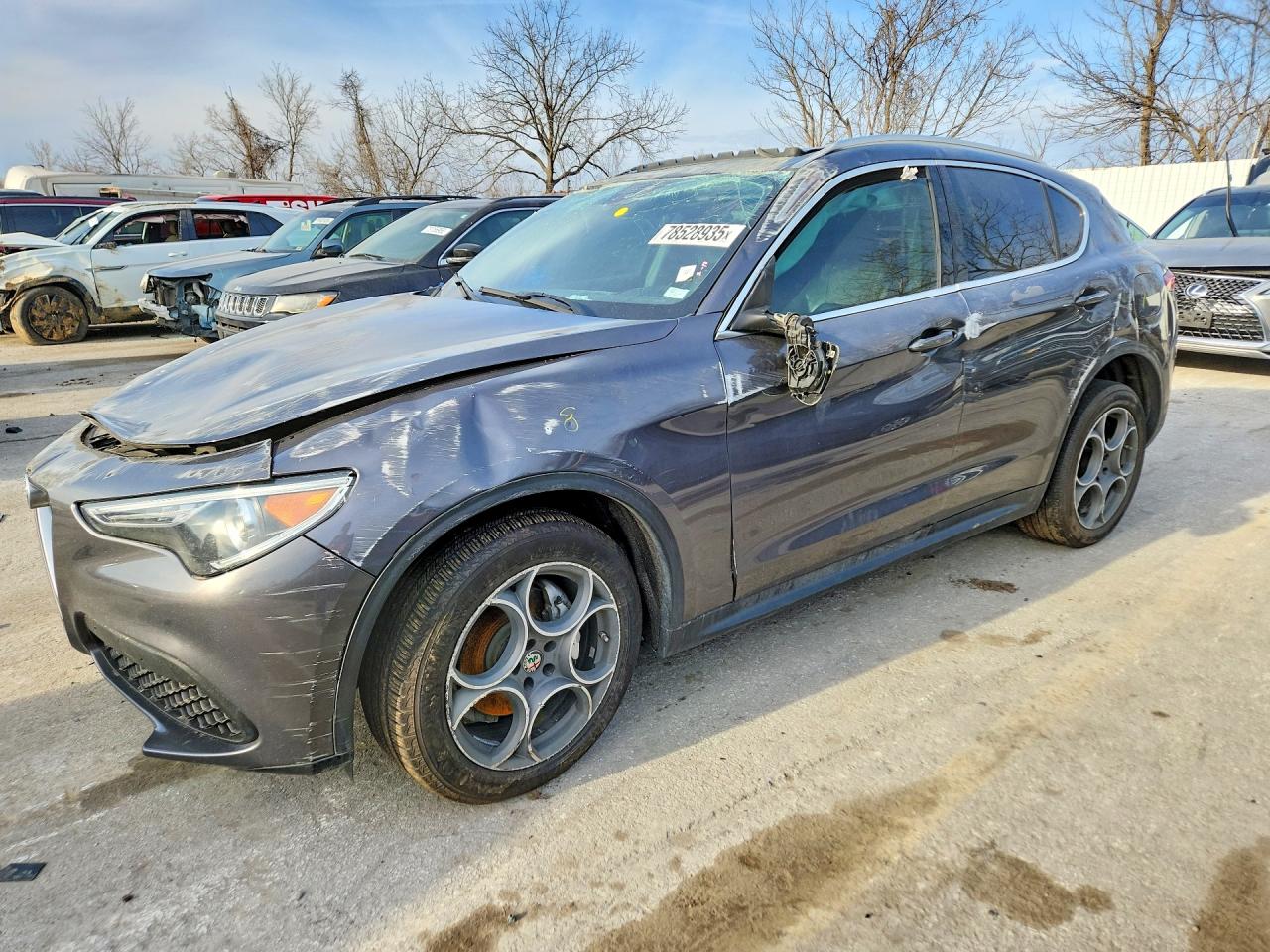 2018 Alfa Romeo Stelvio, VIN ZASFAKAN4J7B70312 — Крыша