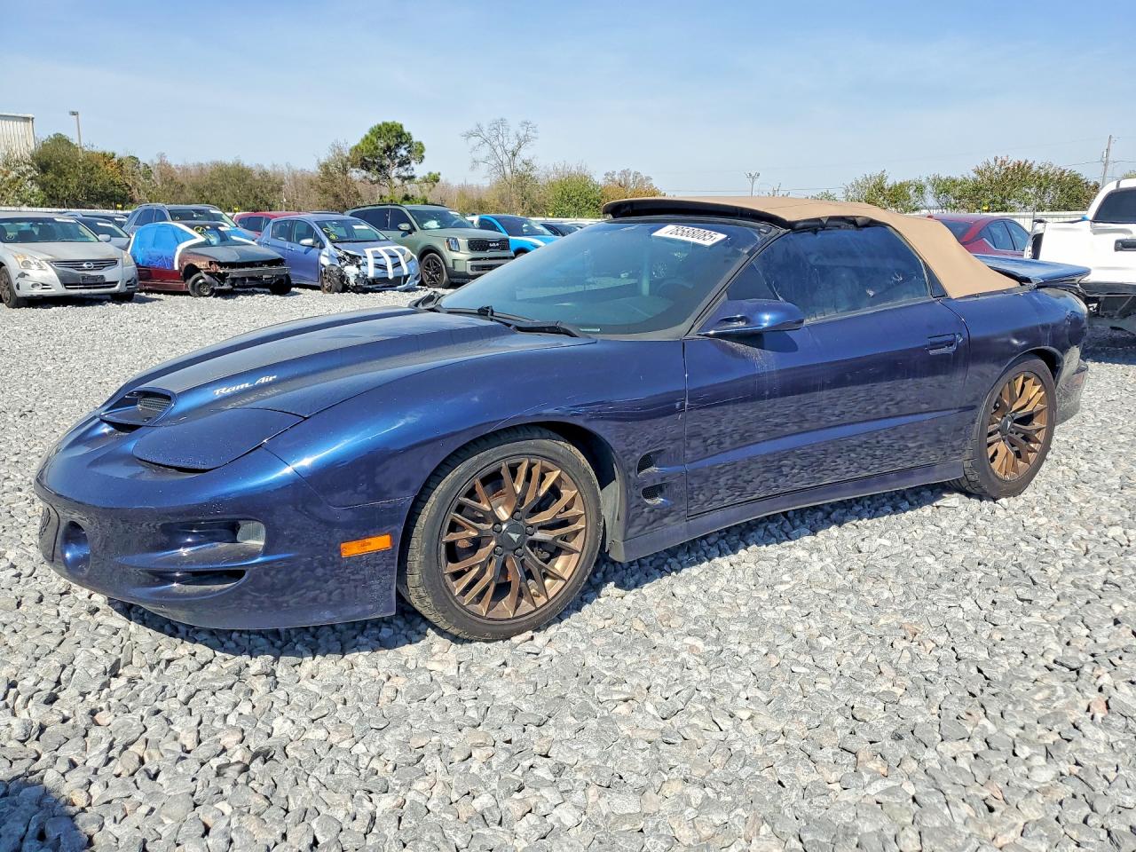 2001 Pontiac Firebird Trans Am, VIN 2G2FV32G612145698 — Rear end