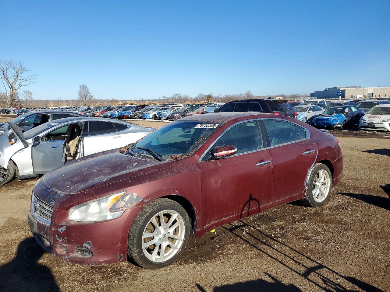 2011 Nissan Maxima SV, VIN 1N4AA5AP2BC843022 — Auction photo