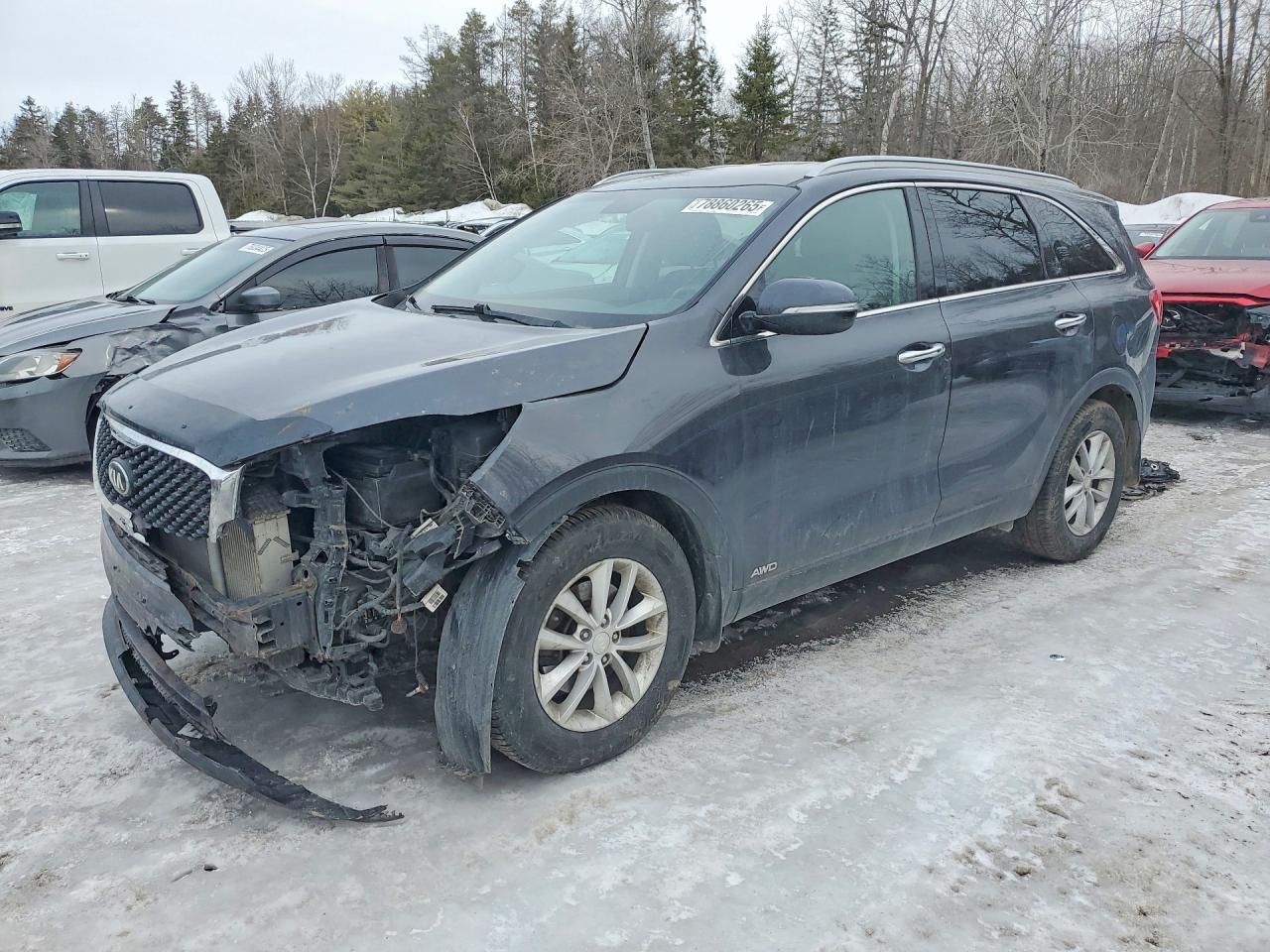 2017 Kia Sorento LX Turbo, VIN 5XYPGDA11HG281580 — Side