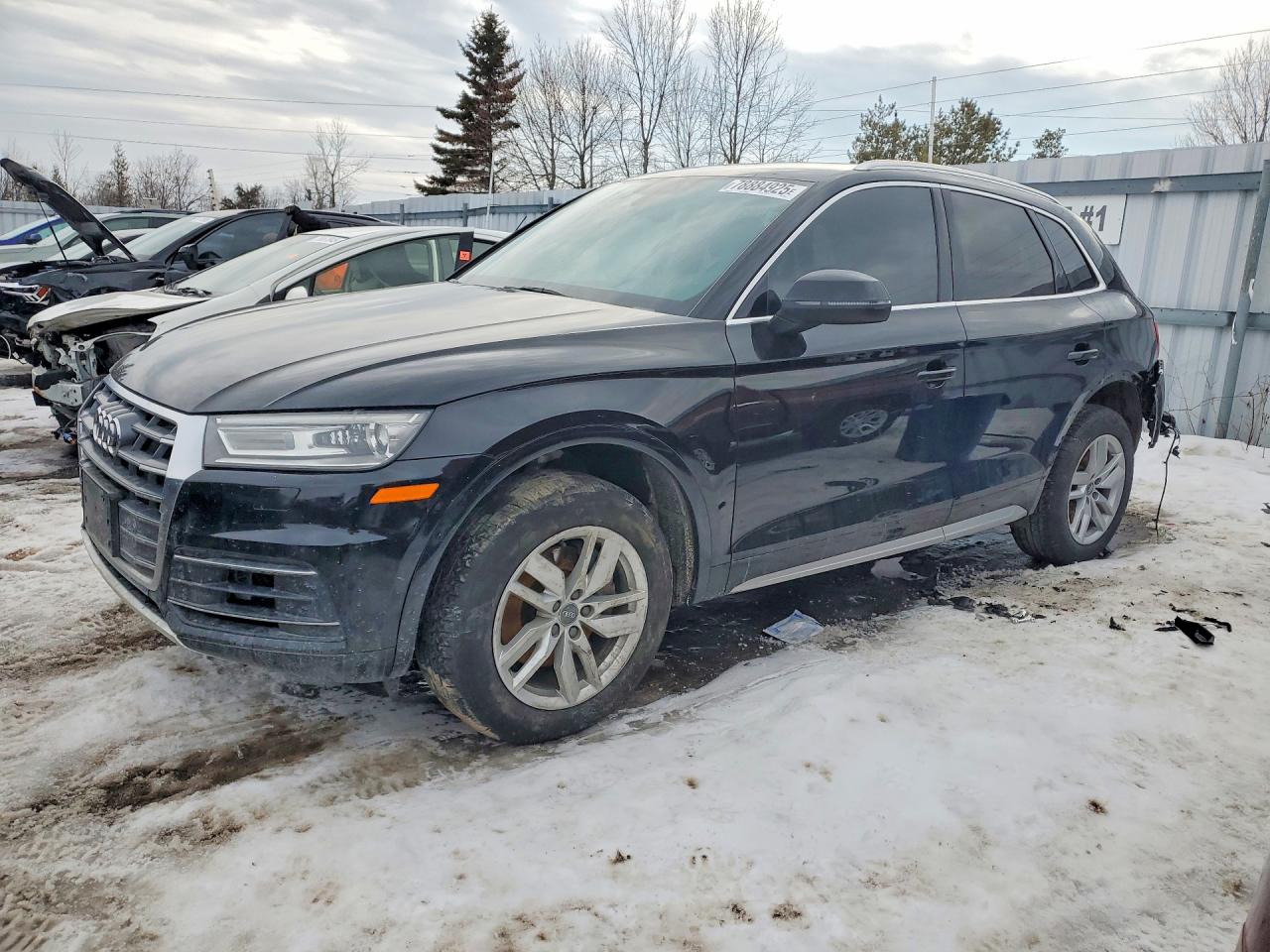 2019 Audi Q5 Premium, VIN WA1ANAFY3K2036310 — Rear end