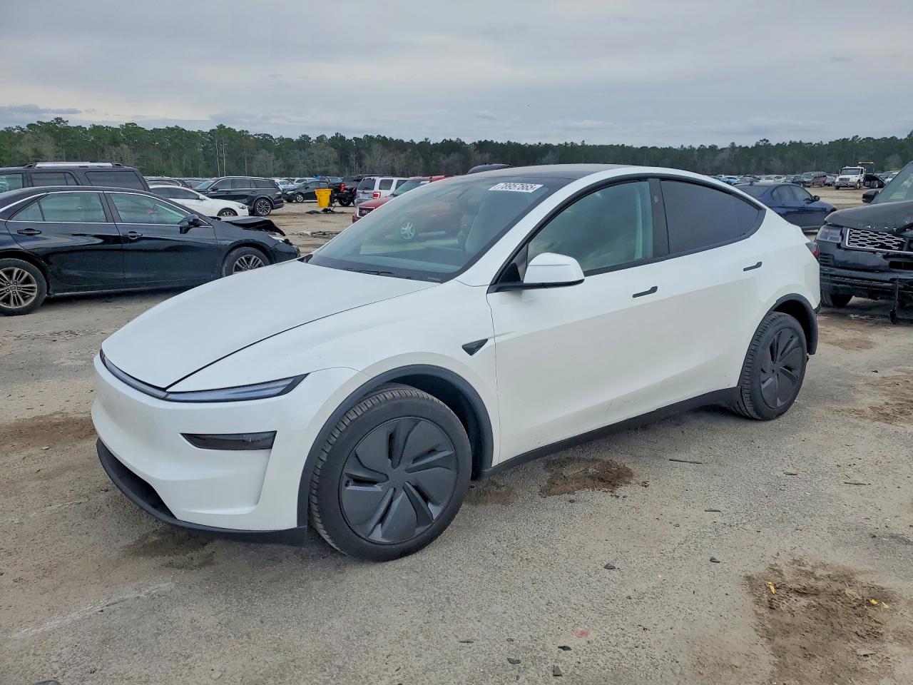 2026 Tesla Model Y Long Range Launch Series, VIN 7SAYGDEE8TA409895 — Зад