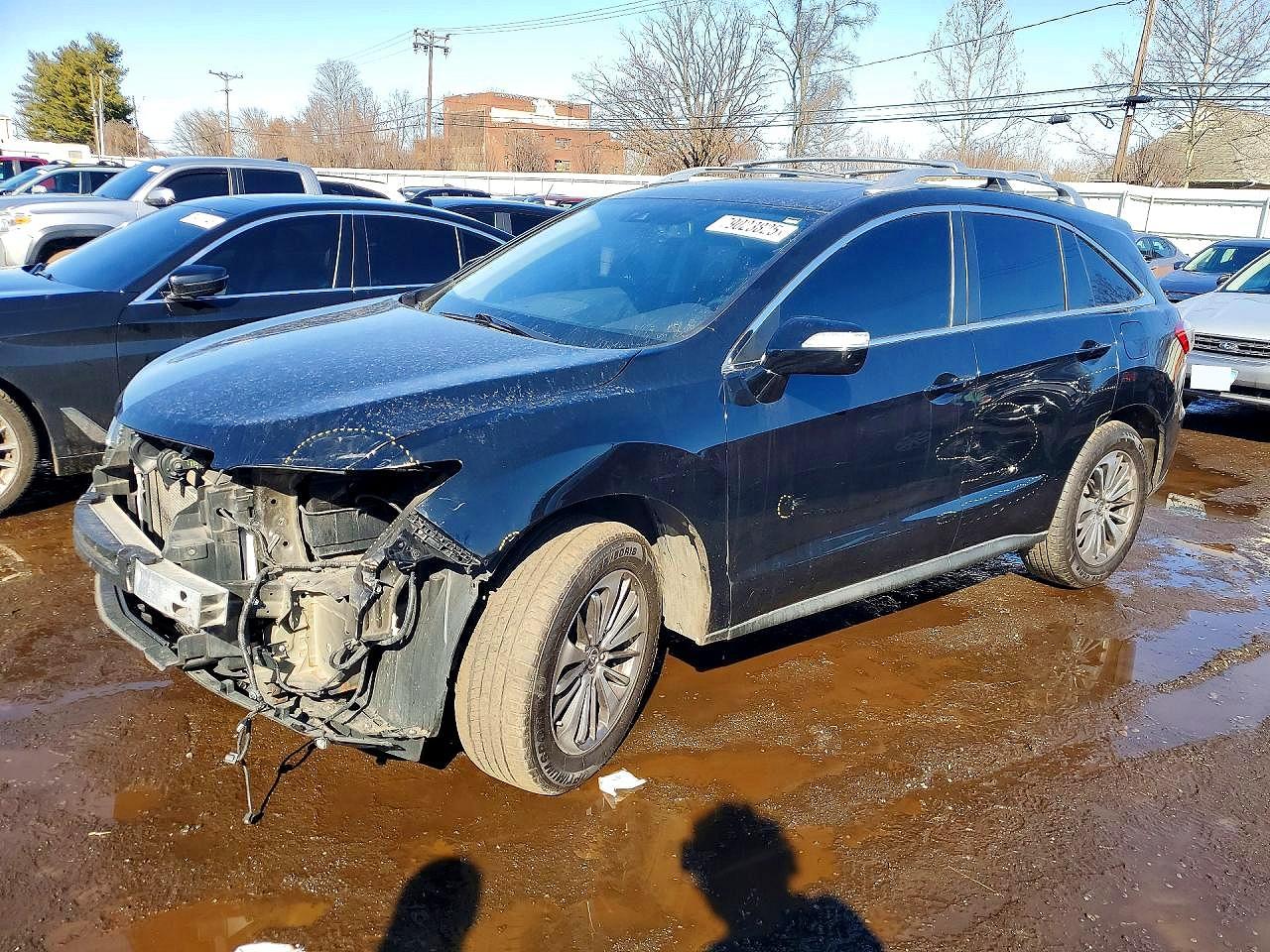 2017 Acura RDX Advance, VIN 5J8TB4H76HL006560 — Front end