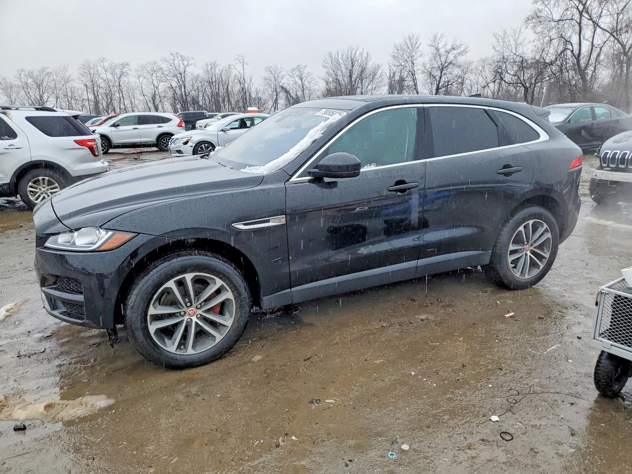 2019 Jaguar F-Pace 25t Premium, VIN SADCJ2FX9KA354322 — Мелкие вмятины и царапины