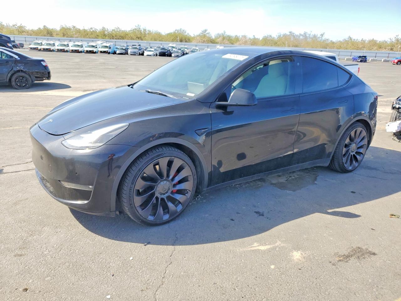 2021 Tesla Model Y Performance, VIN 5YJYGDEF1MF201867 — Side