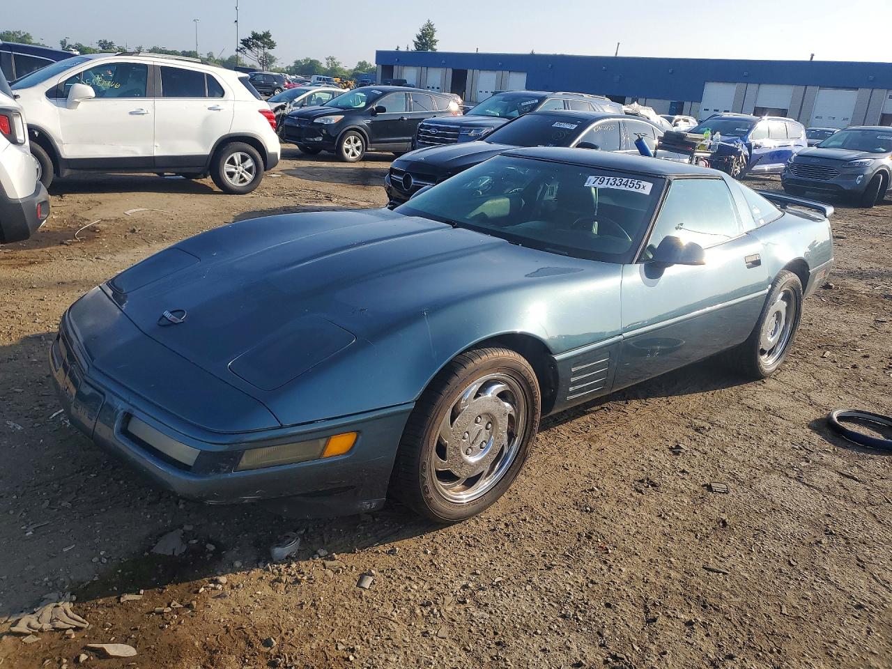 1991 Chevrolet Corvette, VIN 1G1YY2385M5113307 — Minor dents and scratches