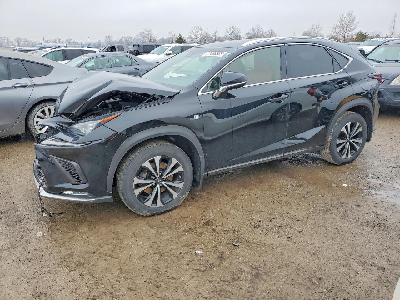 2019 Lexus NX 300, VIN JTJBARBZXK2197933 — Front end